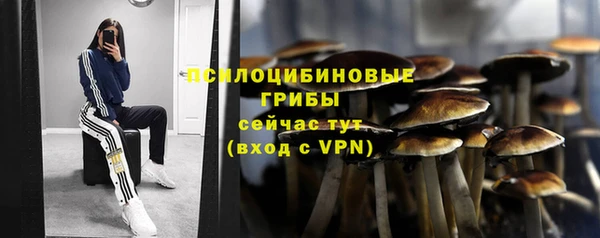 mdpv Нефтекумск