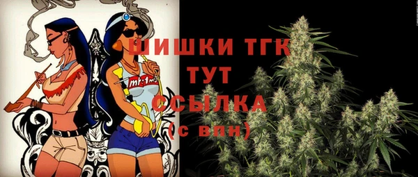 соль ск Слюдянка